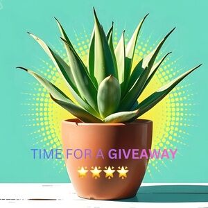 Green Succulent in Terracotta Pot